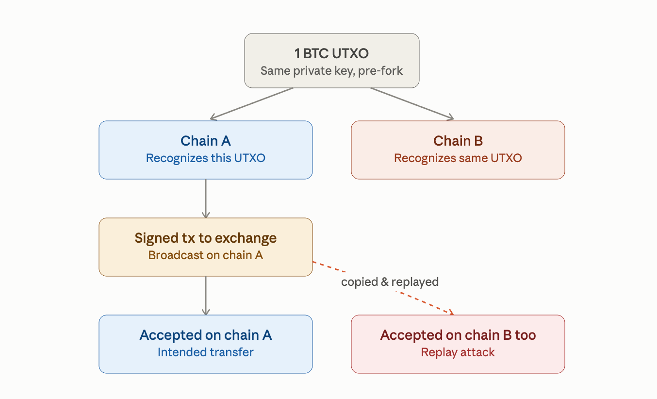 Replay Attack Alarm Grows as BIP-110 Backers Brand Bitcoin 'Spamcoin' Replay attack diagram.