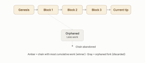 Bitcoin to Solana: How 9 Crypto Networks Reach Consensus Nakamoto Consensus diagram.