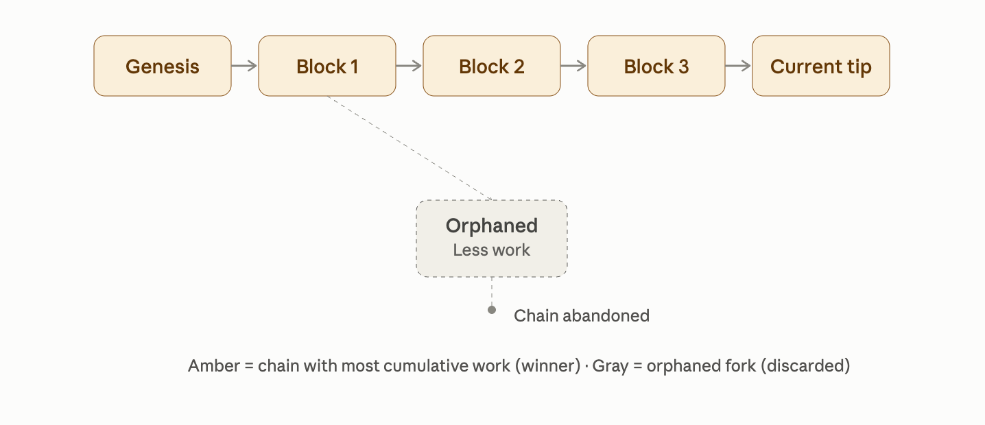 Bitcoin to Solana: How 9 Crypto Networks Reach Consensus Nakamoto Consensus diagram.