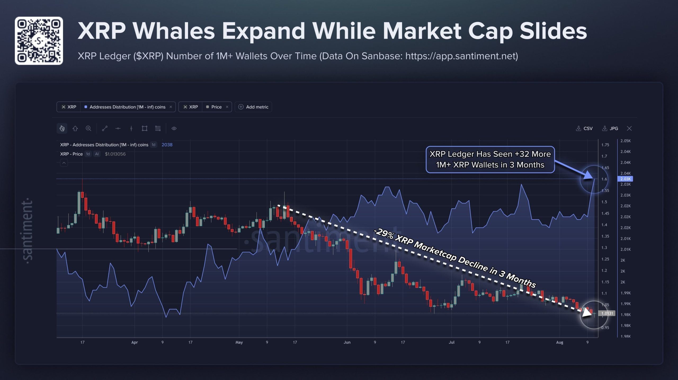 Rising XRP millionaire wallets despite the price decline.