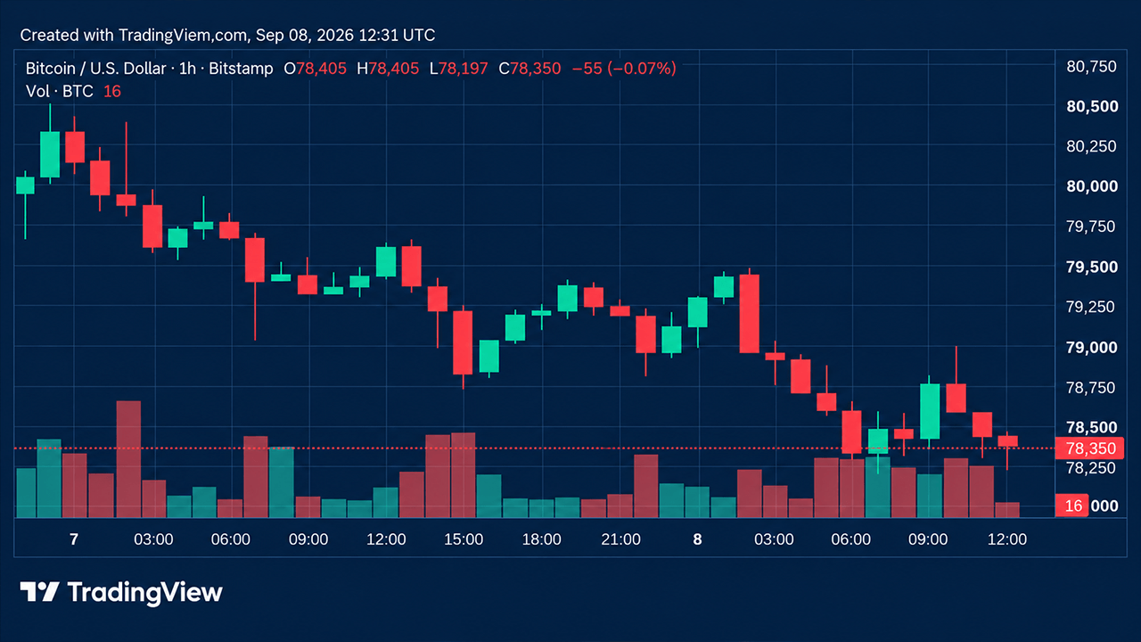Bitcoin Price Loses Steam as Bears Circle Critical $78K Floor