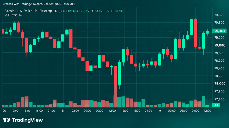 Bitcoin Price Roars Back From $77,603 as Bulls Eye $80,000