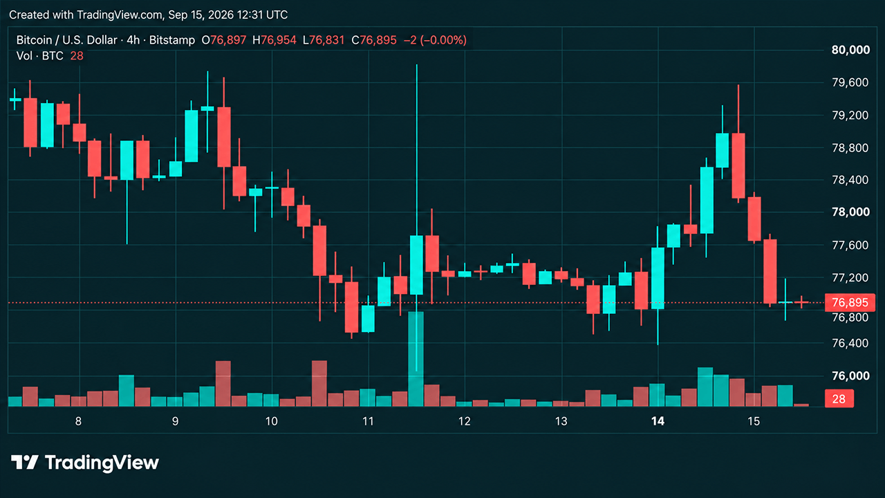 Bitcoin’s Price Is Sitting on Support After a Brutal $79K Rejection