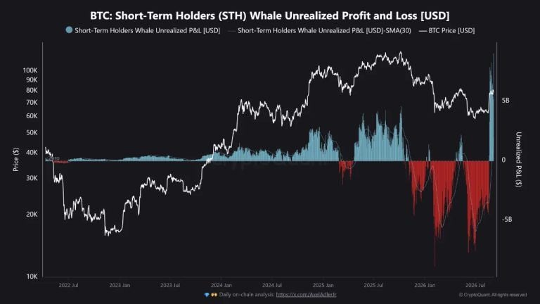 Bitcoin Whales Sit On Record $9.07B Profit As Rally Tested