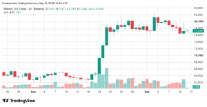 Bitcoin Price Takes a $3,215 Ride Just to Land Back at $77K