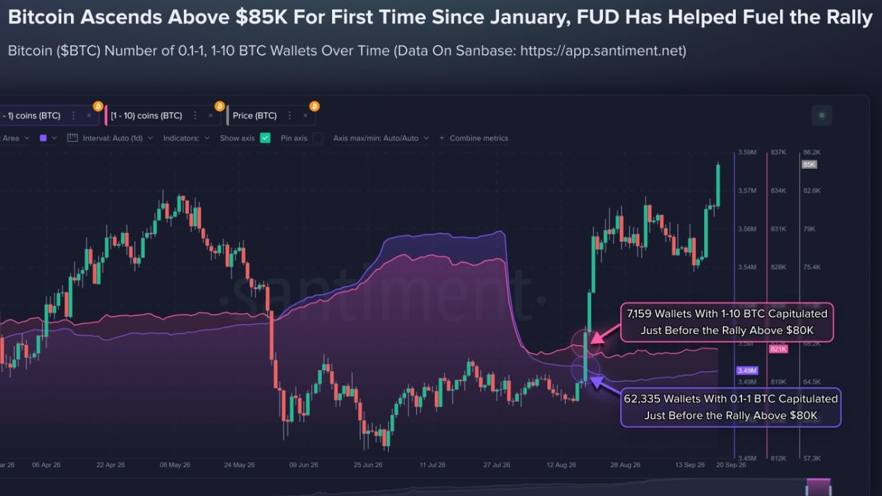 Smaller Bitcoin Holders Exited Before $85K Rally as 69,494 Wallets Contracted