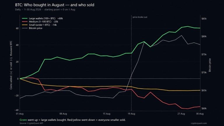 Cryptoquant: Bitcoin Price Rally Hid a 60,000 BTC Whale Buying Spree
