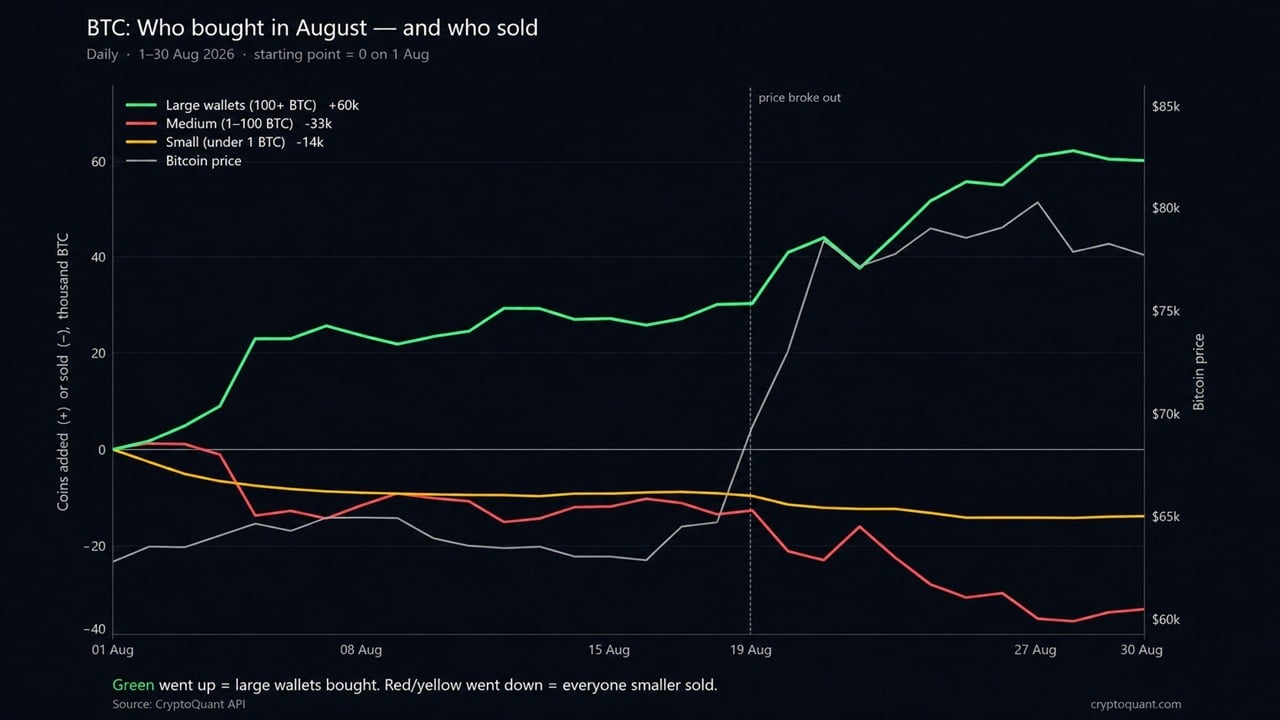Cryptoquant: Bitcoin Price Rally Hid a 60,000 BTC Whale Buying Spree