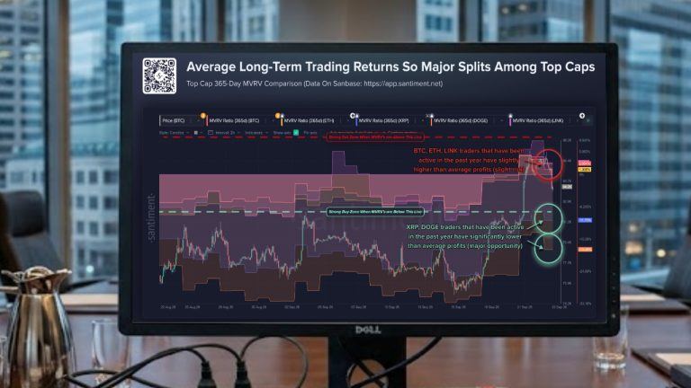 XRP Average Long-Term Trader Still Down 11.75% After Rebound