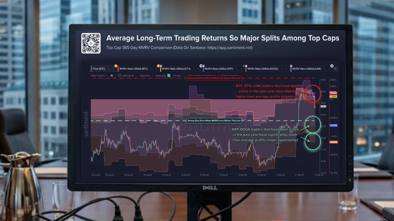 XRP Average Long-Term Trader Still Down 11.75% After Rebound