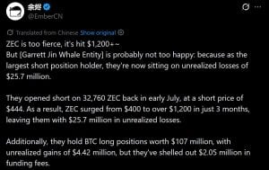 Zcash analysis by EmberCN