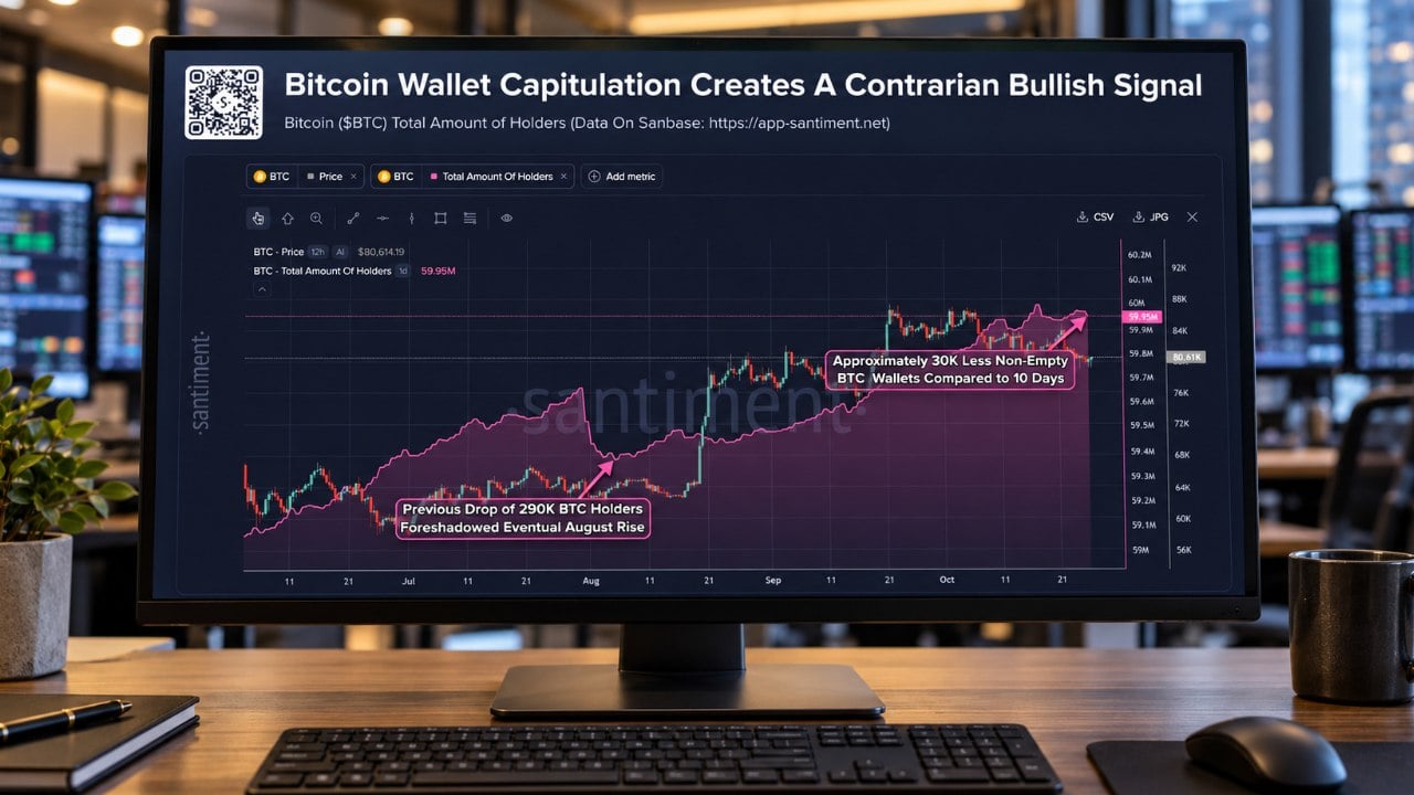 Bitcoin Wallet Decline Signals Possible Bottom as 30,000 Addresses Disappear